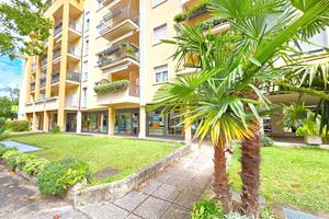 AMPIO 3 CAMERE, 2 BAGNI, TERRAZZO, BOX e CANTINA