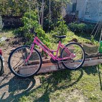 2 biciclette