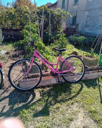 2 biciclette