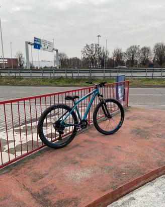 Wheelie bike