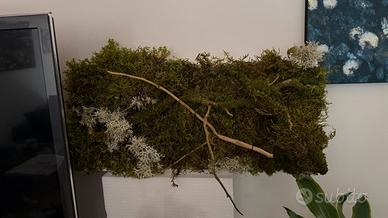 Quadro Vegetale Artigianale