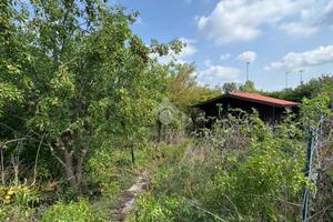 TER. AGRICOLO A BEDIZZOLE