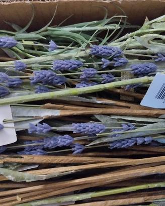 Fiori di plastica (lavanda) ancora in scatola 