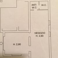 Fondo commerciale a Capalbio