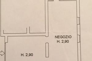 Fondo commerciale a Capalbio