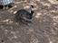 Immagine 6