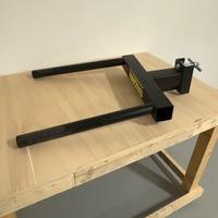 Dip Station lacertosus