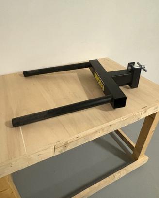 Dip Station lacertosus