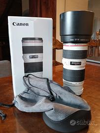 Canon 70-200 EF f/4L USM 