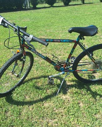 Bicicletta 