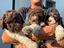 Immagine 6