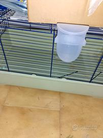 gabbia per conigli 