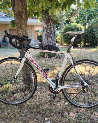 Bicicletta corsa Cannondale Synapse