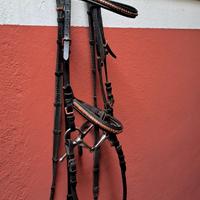 Testiera Equestro Pony