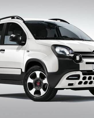 Ricambi usati fiat panda cross