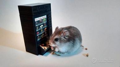 Dispenser Criceto a Forma di Snack Machine 3D