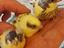Immagine 4