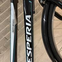 Bici da passeggio donna