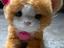 Immagine 1