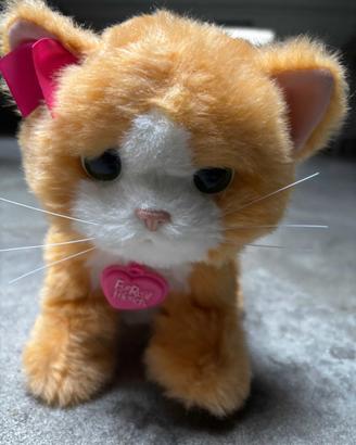FurReal Friends Daisy gattino Hasbro come nuovo