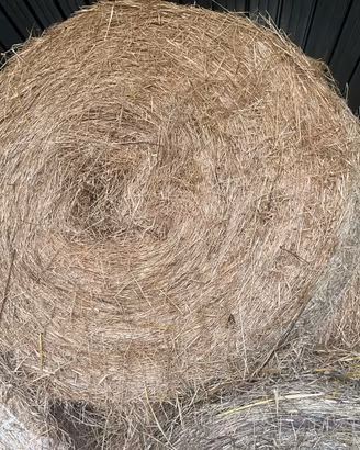 Rotoballe fieno di prato 150