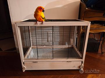 Gabbia Ferplast criceti e pappagallini 