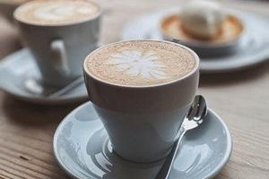 Bar con cucina Modena BR1454