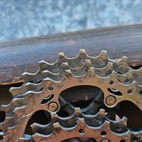 pacco pignoni Ultegra 11v