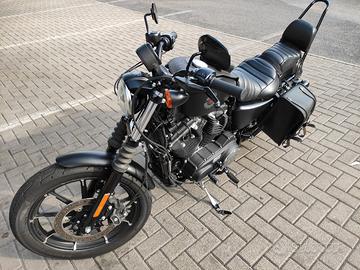 Harley Davidson 883 iron