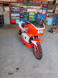 Moto Guzzi Le Mans lll 850 cc anno 1982