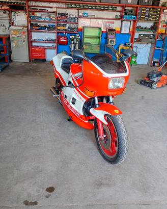 Moto Guzzi Le Mans lll 850 cc anno 1982