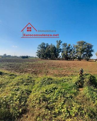 Terreno agricolo piabeggiante a Melissano
