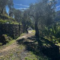 TER. AGRICOLO A CERIANA