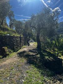 TER. AGRICOLO A CERIANA