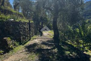 TER. AGRICOLO A CERIANA