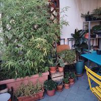 Set tavolo sedie giardino/terrazzo Arc En Ciel EMU