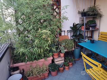 Set tavolo sedie giardino/terrazzo Arc En Ciel EMU