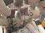 Immagine 6