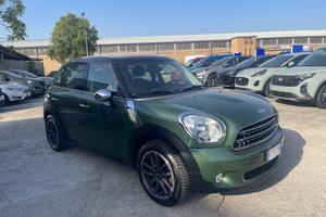 Mini Countryman D Style