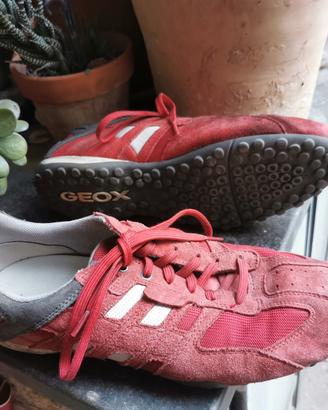 Scarpe Geox