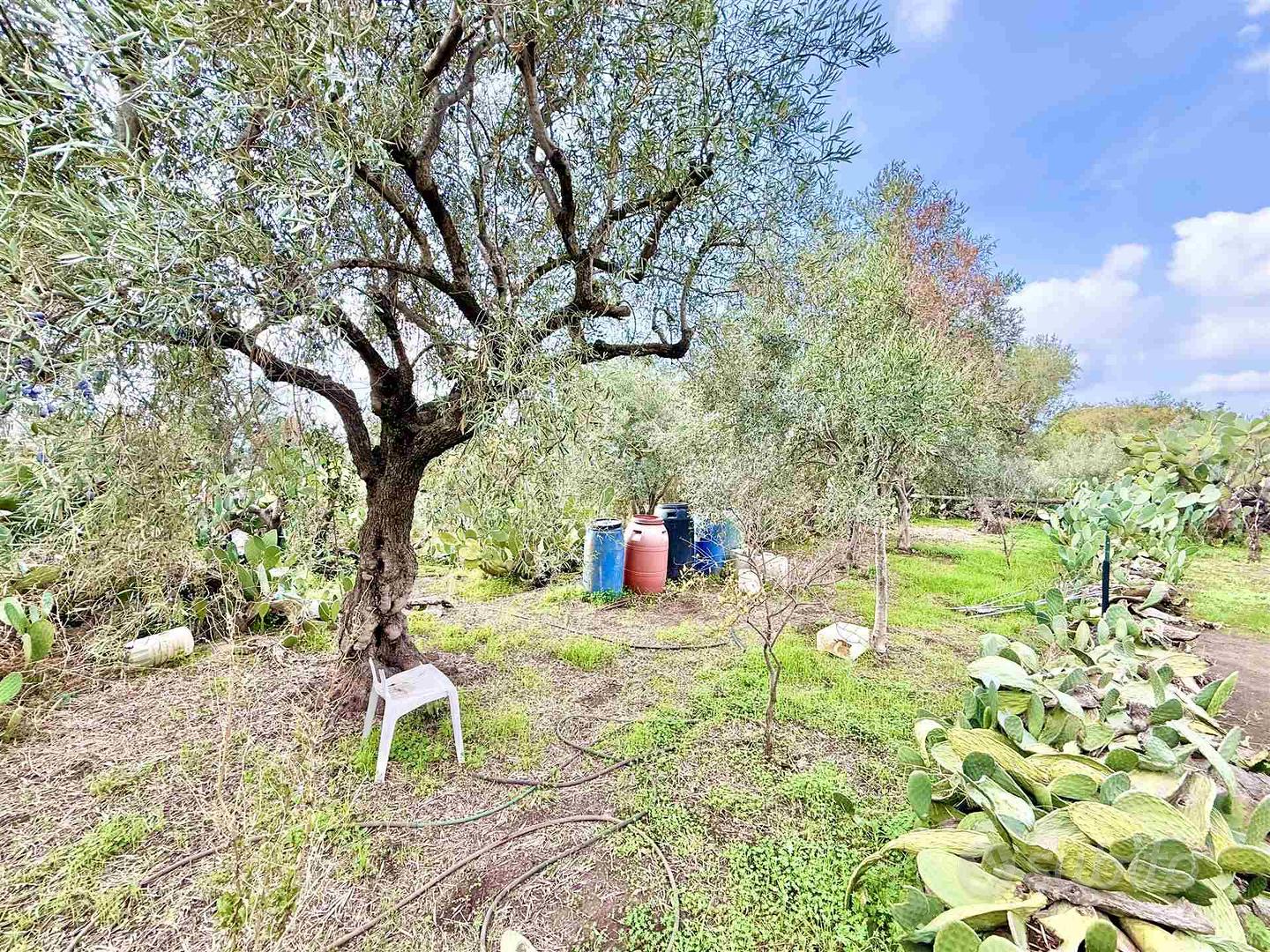 Rif.GL348| terreno agricolo belpasso - Vista 2