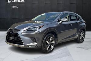 Lexus NX 300 h 2.5 Luxury 4wd cvt