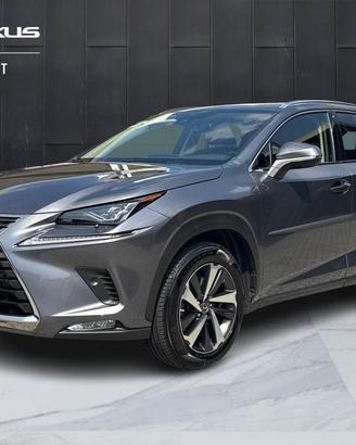 Lexus NX 300 h 2.5 Luxury 4wd cvt