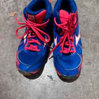 Scarpe Volley Mizuno