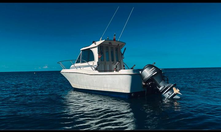 Barca Beneteau antares