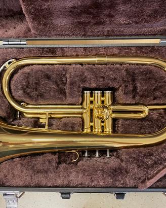 Flicorno Soprano Sib Yamaha2310