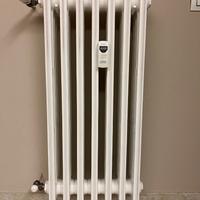 Termosifoni in ghisa