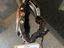 Immagine 6