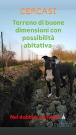 Rustico con terreno (minimo 1ettaro)