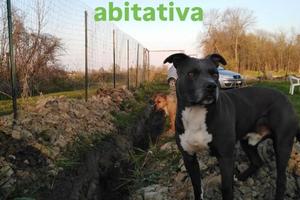 Rustico con terreno (minimo 1ettaro)